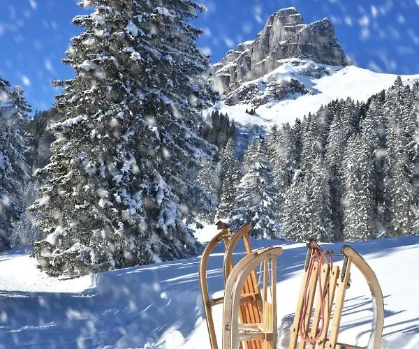 Parkareal 606 By Interhome Apartamento Davos