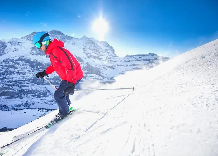 Parkareal 606 By Interhome Daire Ostrava